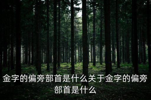 金字部首,金字的偏旁部首是什么?