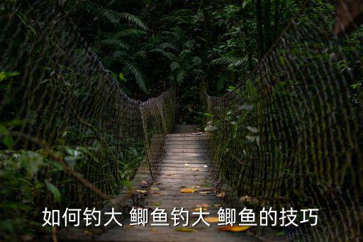 怎樣野釣鯽魚,怎么釣大鯽魚最好?