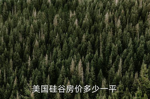 美國硅谷房價多少一平