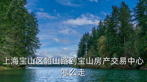上海寶山區(qū)韶山路到寶山房產(chǎn)交易中心怎么走