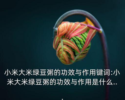 小米大米綠豆粥的功效與作用鍵詞:小米大米綠豆粥的功效與作用是什么...