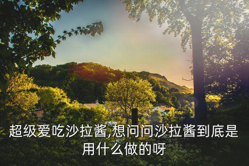 沙拉醬成分,秘制沙拉醬怎么做超好吃!