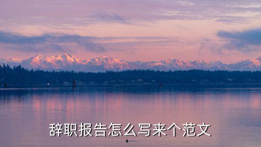 辭職報告范本，辭職報告怎么寫來個范文