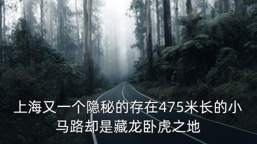 上海又一個隱秘的存在475米長的小馬路卻是藏龍臥虎之地