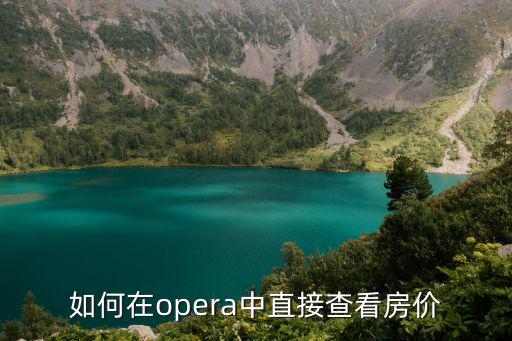 安居客如何查詢房價，如何查詢過去十年每個月的房價