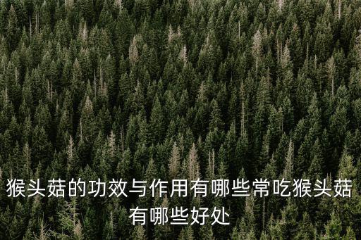 猴頭菇的功效與作用及食用方法,猴頭菇怎么吃最好?