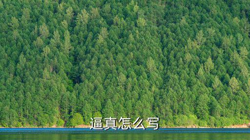 逼真的意思,第二集:我聽到了嗎?第五集