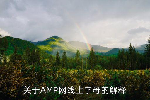 關于AMP網(wǎng)線上字母的解釋