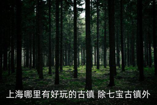 上海哪里有好玩的古鎮 除七寶古鎮外