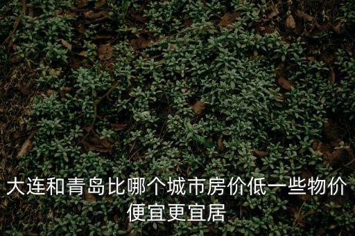 大連和青島比哪個(gè)城市房?jī)r(jià)低一些物價(jià)便宜更宜居