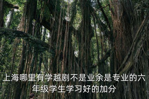 上海哪里有學(xué)越劇不是業(yè)余是專業(yè)的六年級學(xué)生學(xué)習(xí)好的加分