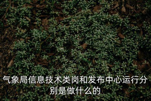 氣象局信息技術類崗和發布中心運行分別是做什么的