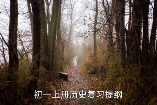 初一上冊歷史復習提綱
