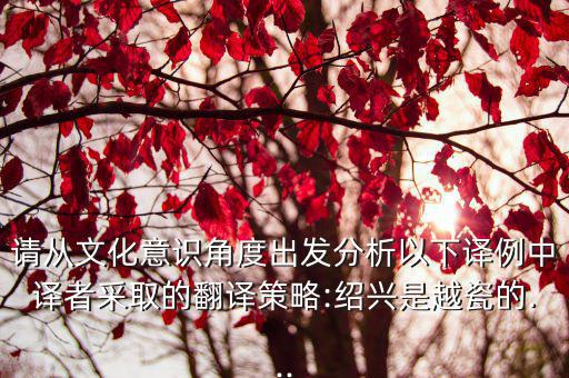 請從文化意識角度出發(fā)分析以下譯例中譯者采取的翻譯策略:紹興是越瓷的...