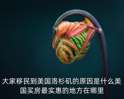 大家移民到美國洛杉磯的原因是什么美國買房最實惠的地方在哪里