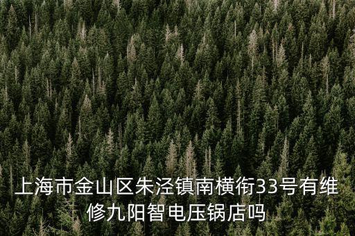 上海市金山區朱涇鎮南橫銜33號有維修九陽智電壓鍋店嗎