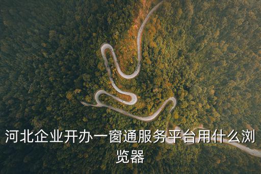 河北企業開辦一窗通服務平臺用什么瀏覽器