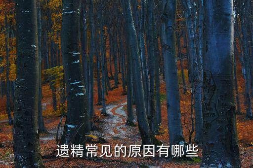  遺精常見的原因有哪些