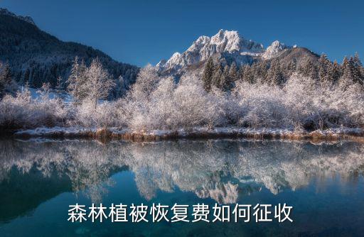 森林植被恢復費如何征收