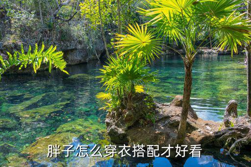 胖子穿衣搭配,胖子怎么穿衣搭配才好看?