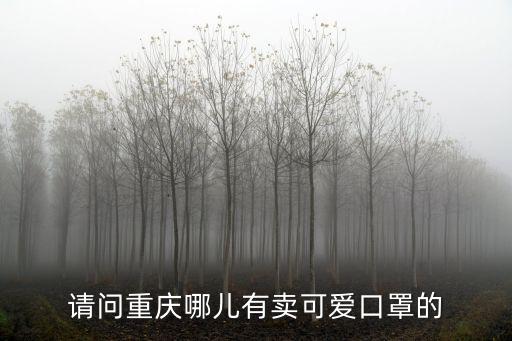 請問重慶哪兒有賣可愛口罩的