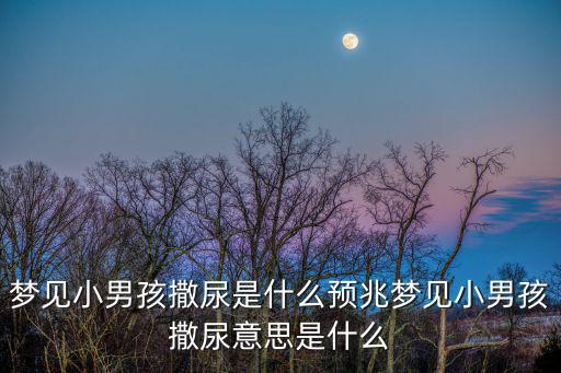 夢見小男孩撒尿是什么預(yù)兆夢見小男孩撒尿意思是什么