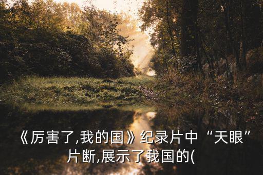厲害了我的國下載,《厲害了,我的國》紀錄片如何評價《天眼?