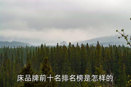 美神軟床,十大軟床品牌推介會(huì)第一場(chǎng)