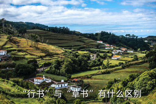 “行書”與“草書”有什么區(qū)別
