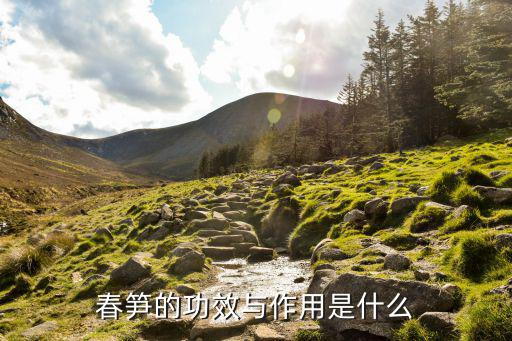 春筍的功效與作用是什么