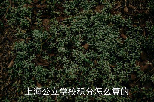上海公立學(xué)校積分怎么算的