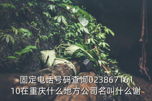 固定電話號碼查詢02386716110在重慶什么地方公司名叫什么謝