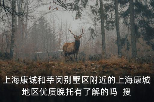 上海市圓石灘別墅，請問在上海地區做商業別墅木工瓦工的清包價格是多少