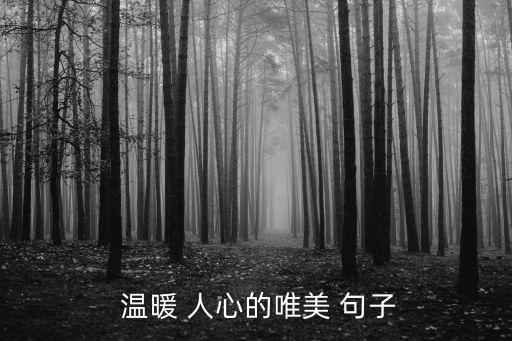 溫暖人心的句子,車禍死者都是女司機親身骨肉慘遭燒成灰燼