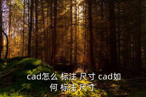  cad怎么 標注 尺寸 cad如何 標注 尺寸