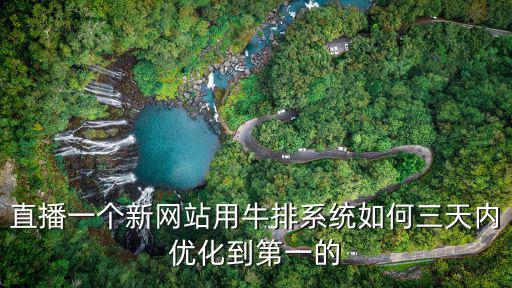 直播一個新網站用牛排系統如何三天內優化到第一的