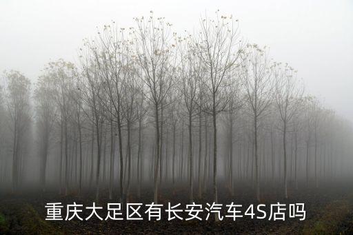 重慶大足區有長安汽車4S店嗎