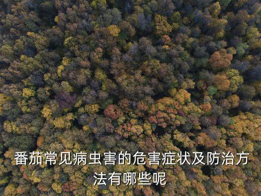 番茄病害,提高植物抗逆性可用高濃度硝酸鈉浸種和噴灑