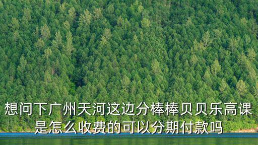 想問下廣州天河這邊分棒棒貝貝樂高課是怎么收費(fèi)的可以分期付款嗎
