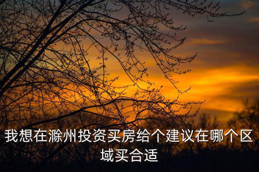 我想在滁州投資買房給個建議在哪個區域買合適