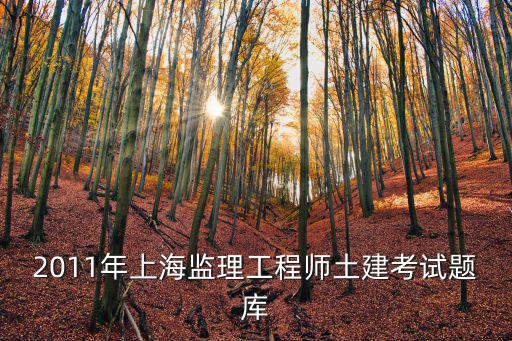 2011年上海監理工程師土建考試題庫