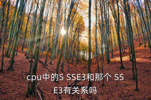 SSE3,sse3擴展產(chǎn)品曾用于2002年7月