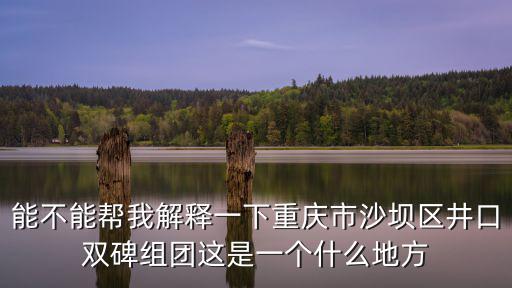 能不能幫我解釋一下重慶市沙壩區井口雙碑組團這是一個什么地方