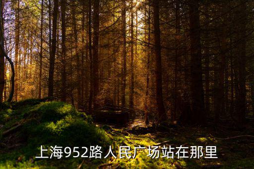 上海952路人民廣場站在那里