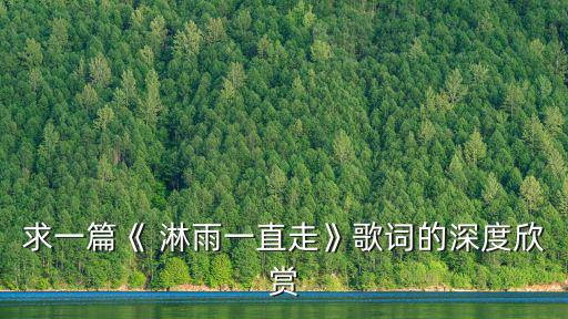 求一篇《 淋雨一直走》歌詞的深度欣賞