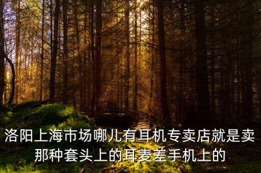 洛陽上海市場哪兒有耳機專賣店就是賣那種套頭上的耳麥差手機上的