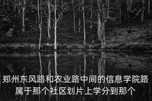 鄭州東風路和農業路中間的信息學院路屬于那個社區劃片上學分到那個