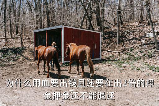 為什么用血要出錢且還要在出2倍的押金押金還不能退還