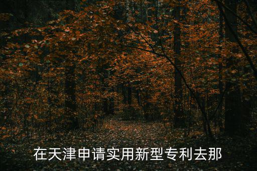 在天津申請實用新型專利去那
