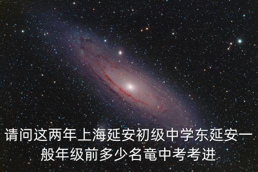 上海市延安中學東部，請問這兩年上海延安初級中學東延安一般年級前多少名竜中考考進